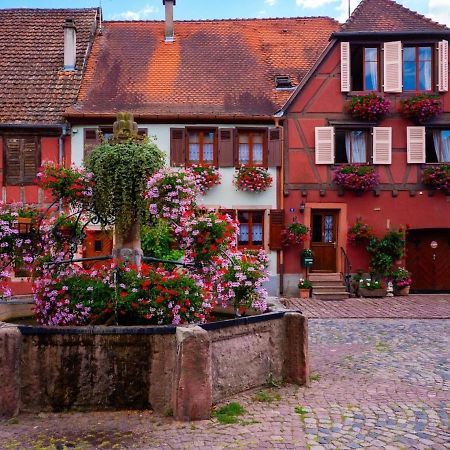 Gite Les Lavandieres Кольмар Экстерьер фото