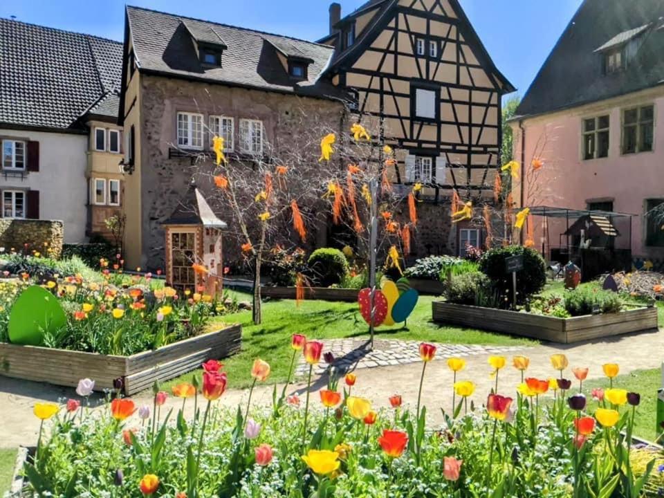 Gite Les Lavandieres Кольмар Экстерьер фото