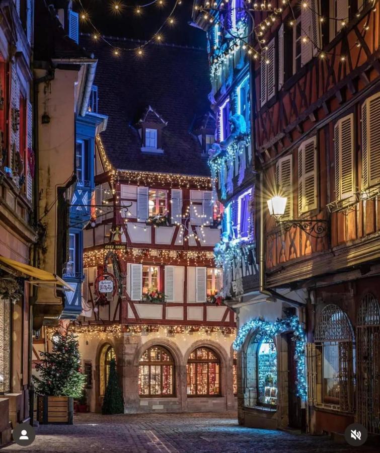 Gite Les Lavandieres Кольмар Экстерьер фото